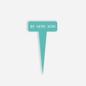 BE HERE NOW Small Caption