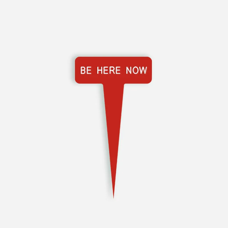 BE HERE NOW Small Caption