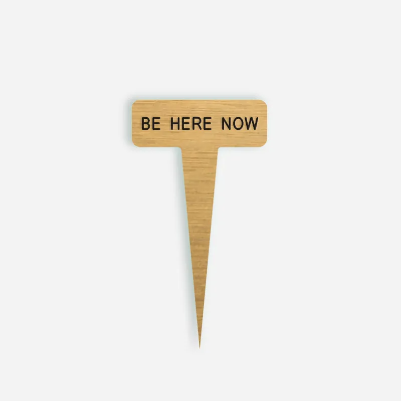 BE HERE NOW Small Caption