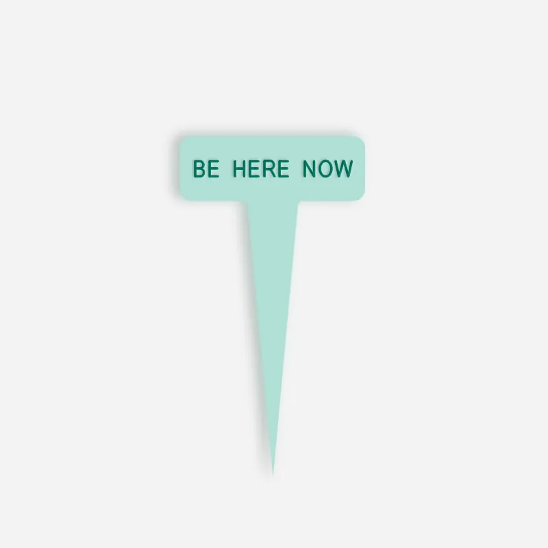 BE HERE NOW Small Caption