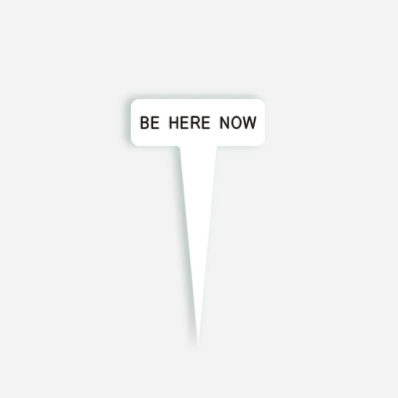 BE HERE NOW Small Caption