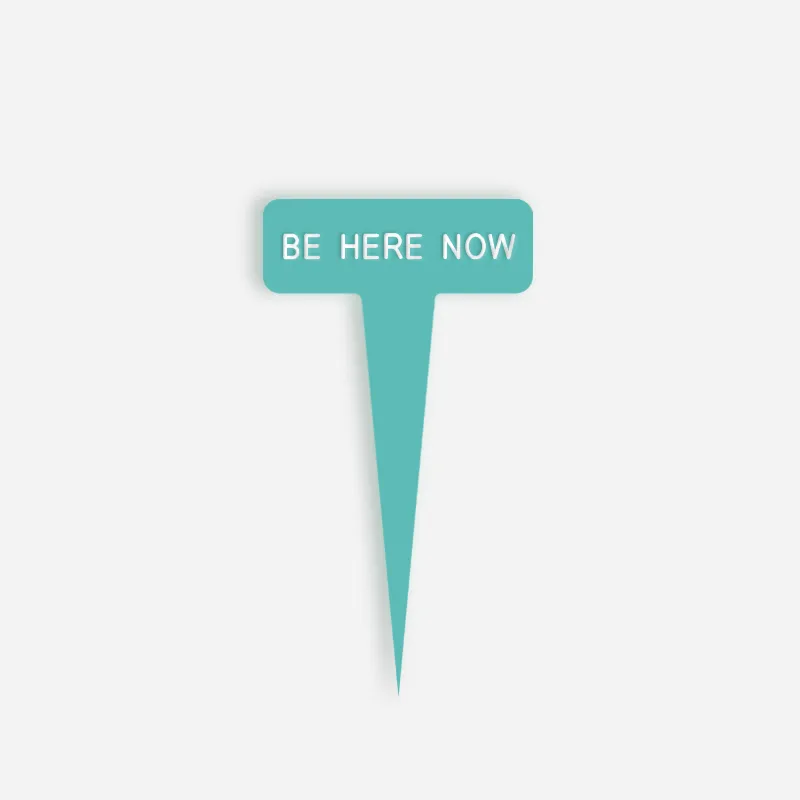 BE HERE NOW Small Caption