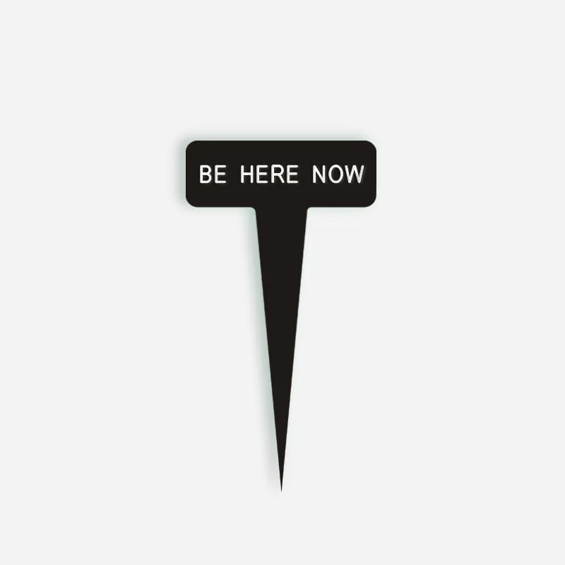 BE HERE NOW Small Caption