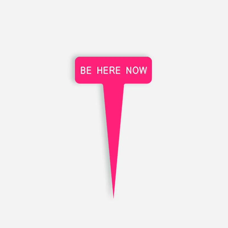 BE HERE NOW Small Caption