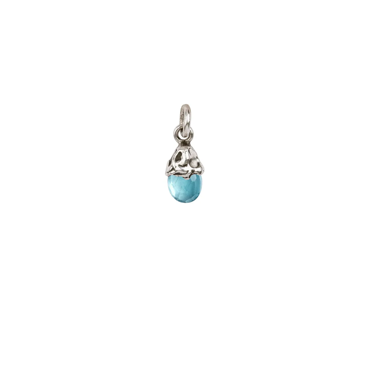 Family Capped Attraction Charm