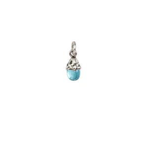 Family Capped Attraction Charm