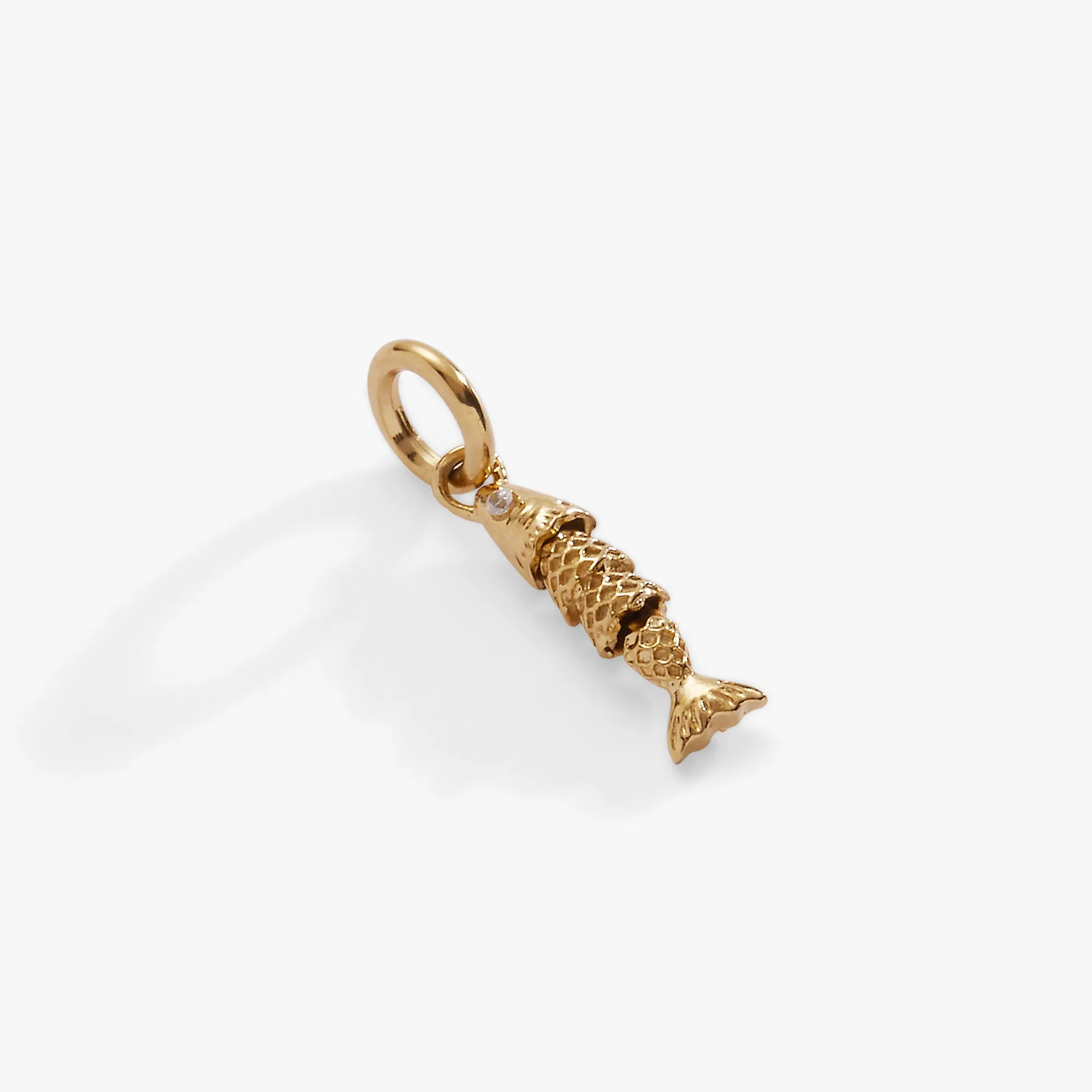Fish Interchangeable Charm