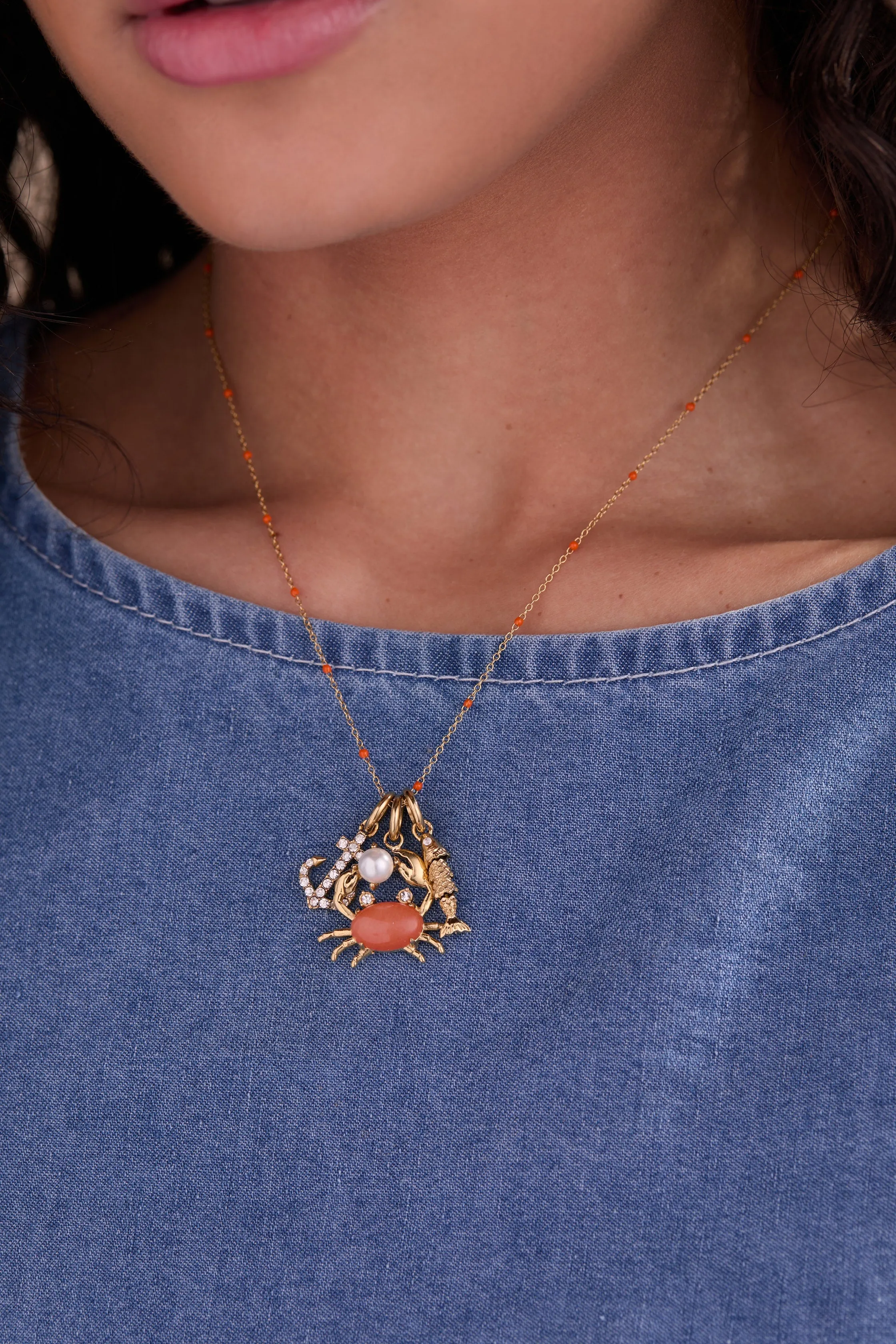 Fish Interchangeable Charm