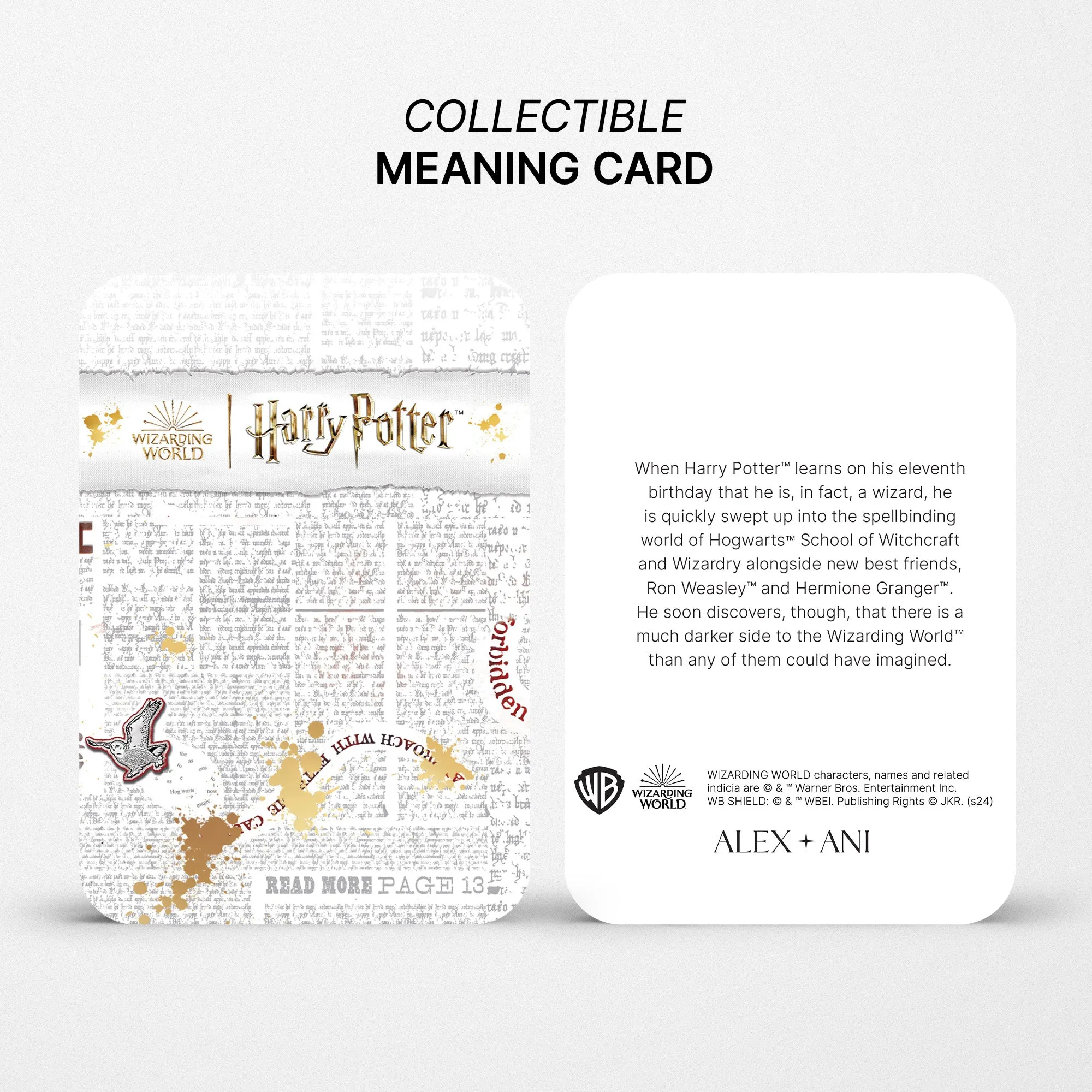 Harry Potter Golden Snitch Lariat Necklace