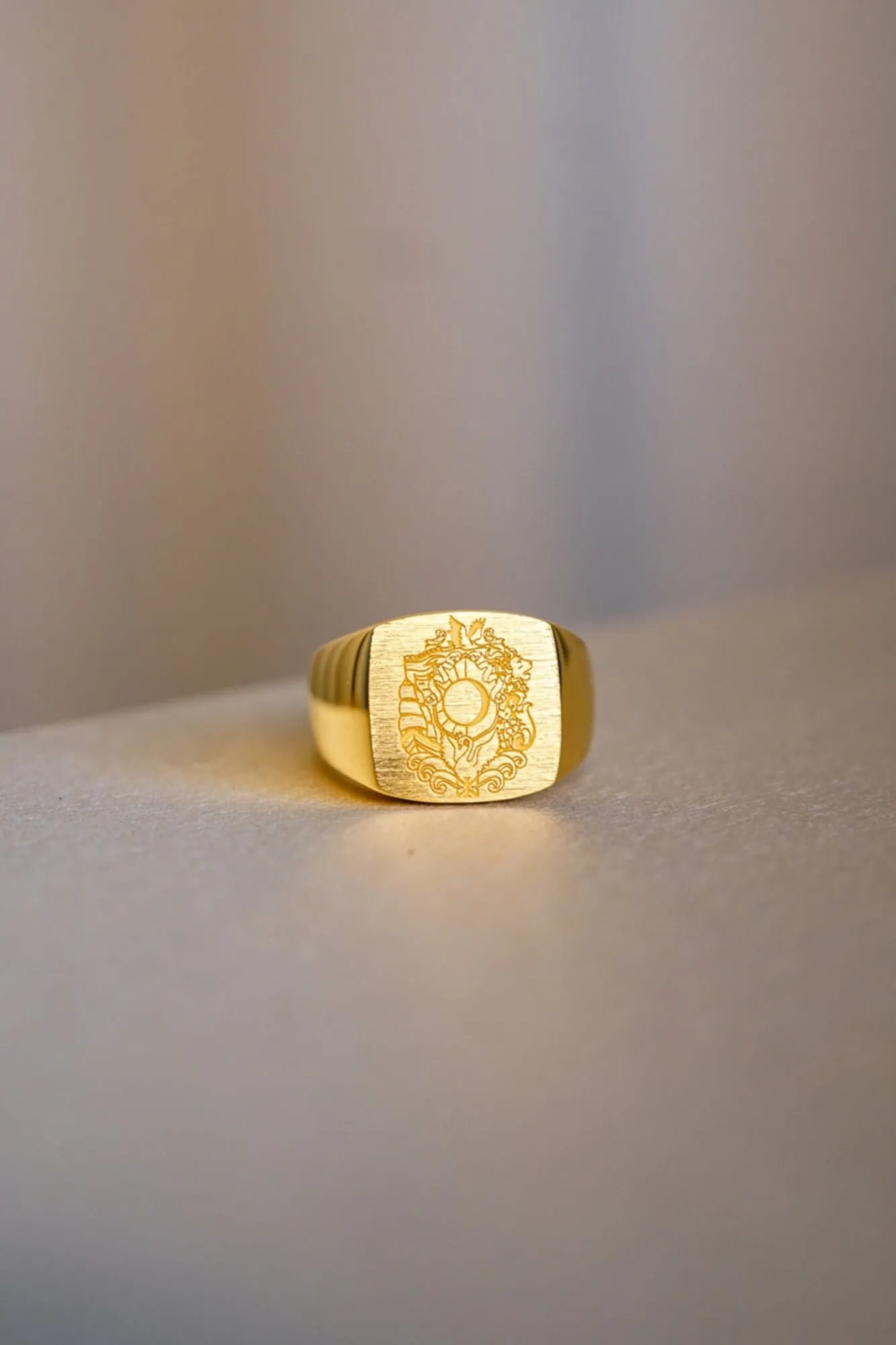 IX Family Crest Signet Gold Plated Ring