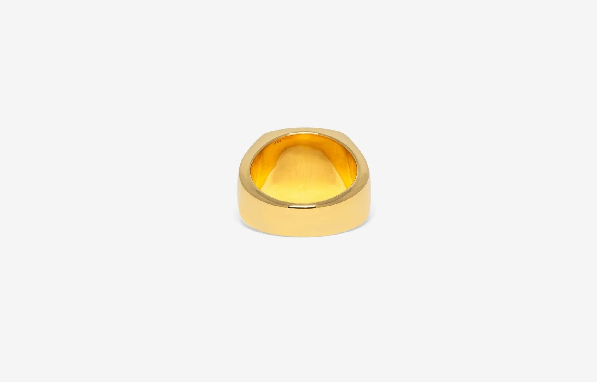 IX Family Crest Signet Gold Plated Ring