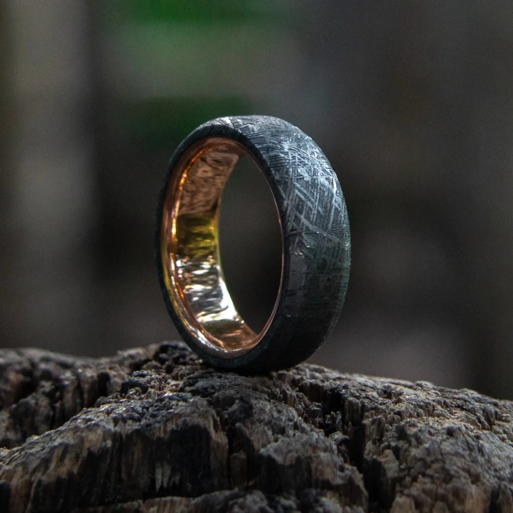 Meteorite Ring with Real Gold Liner