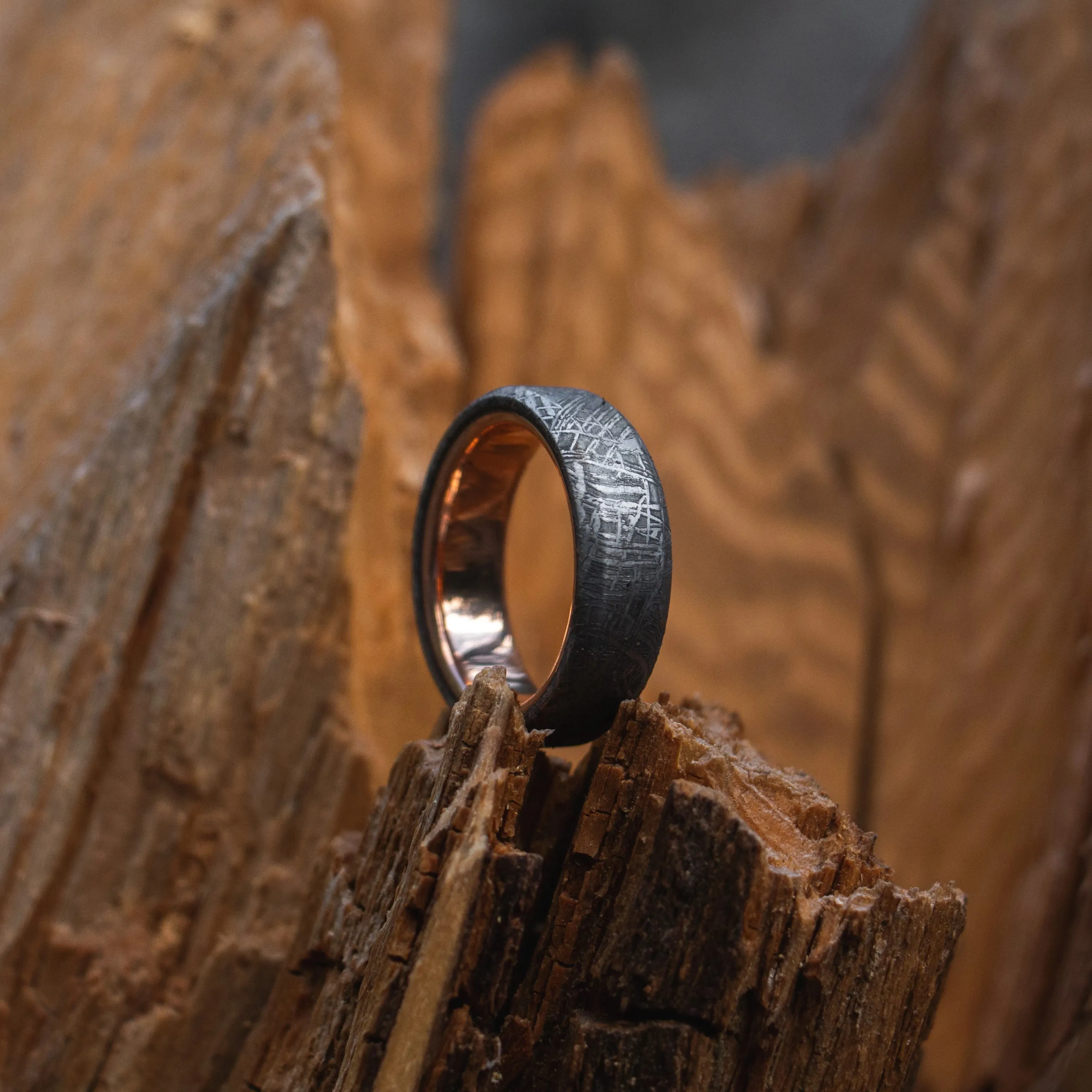 Meteorite Ring with Real Gold Liner