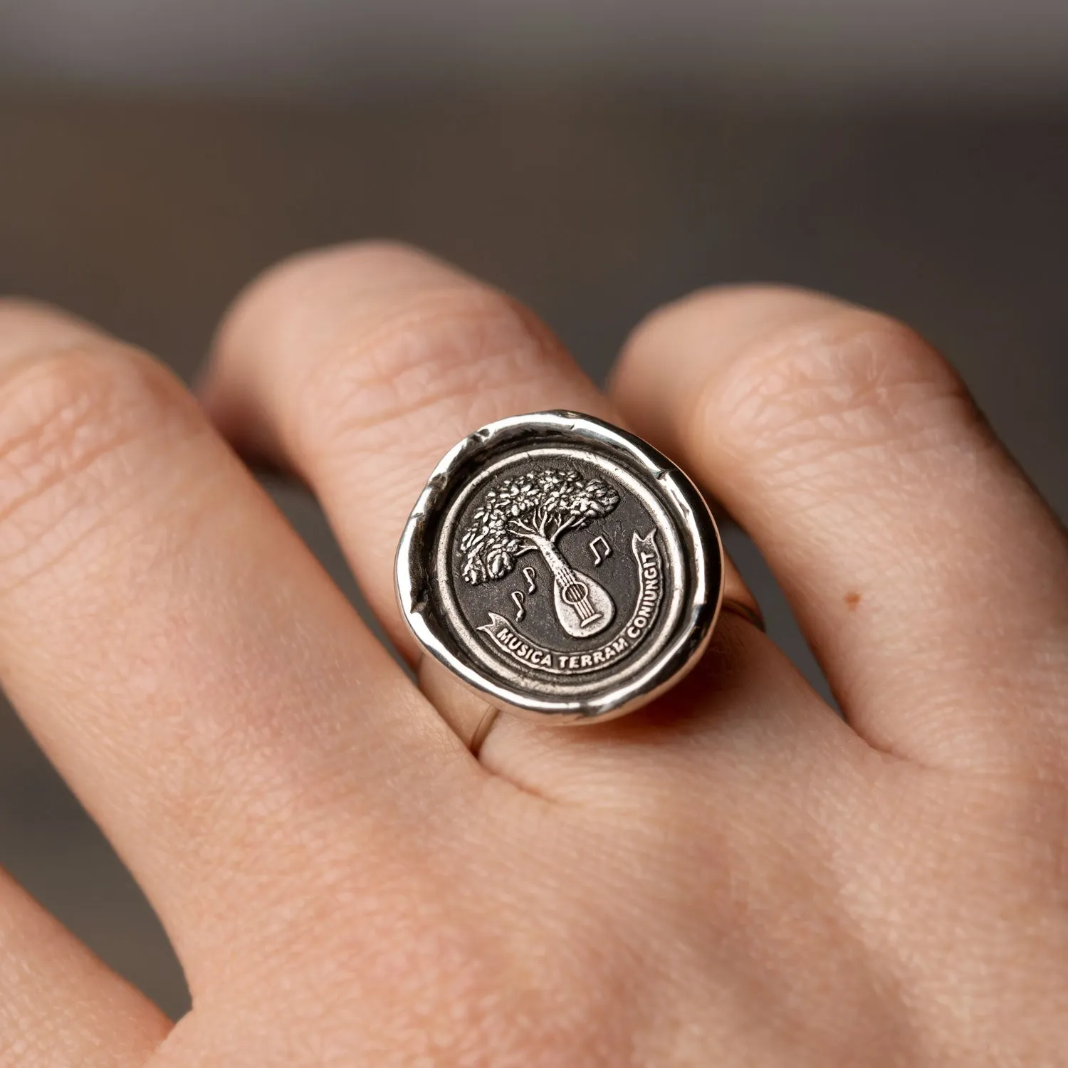 Music Unites Us Talisman Ring