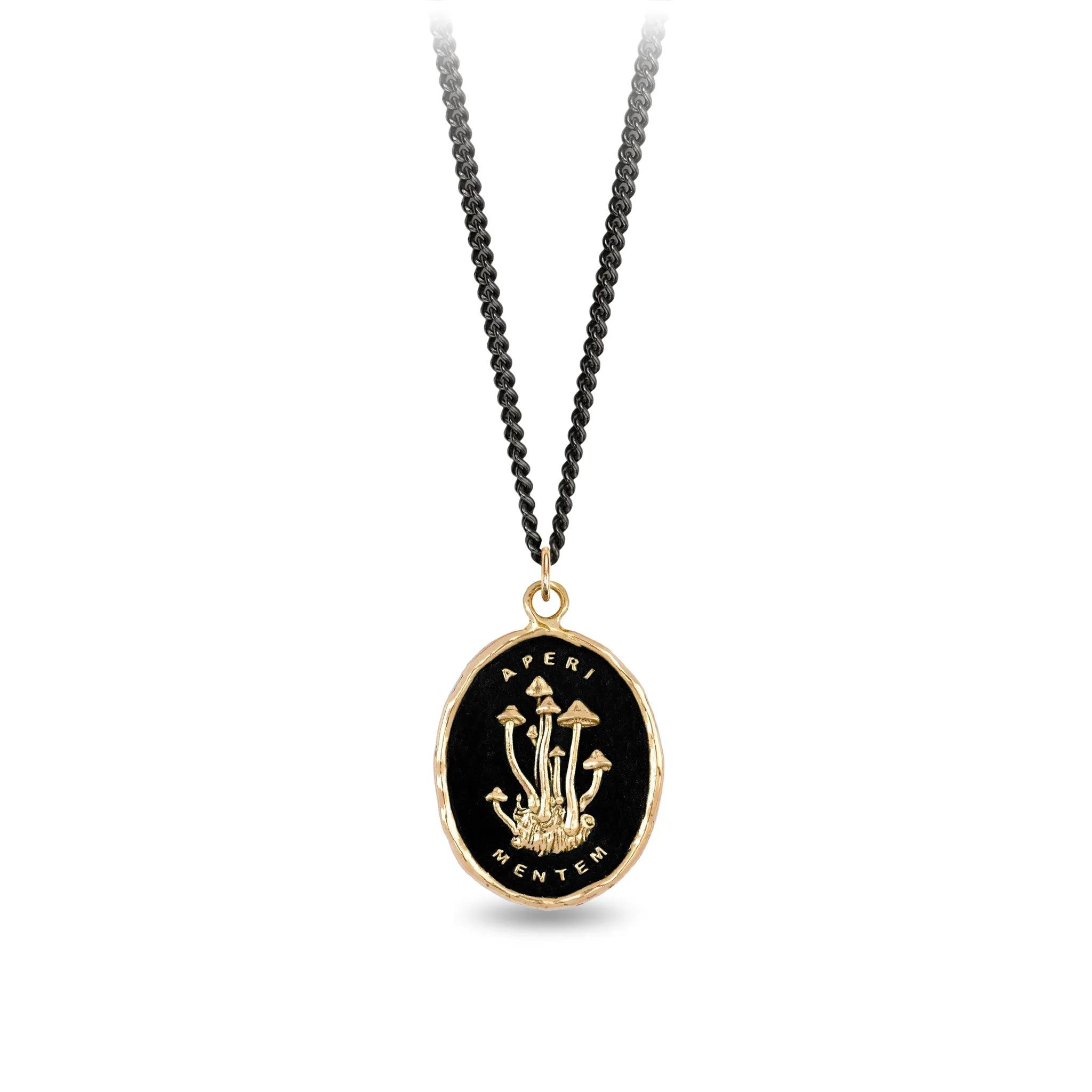 Open Your Mind 14K Gold Talisman