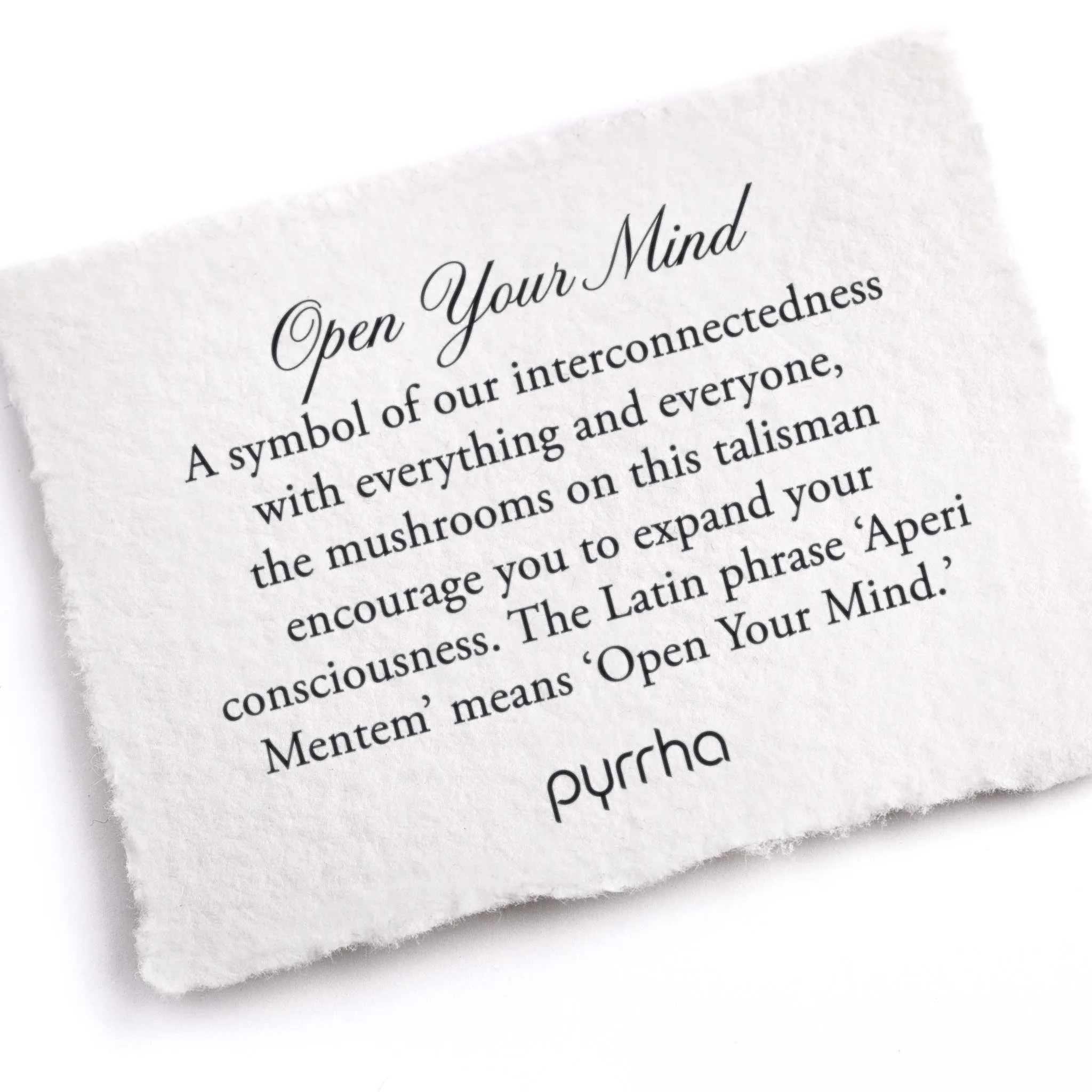 Open Your Mind