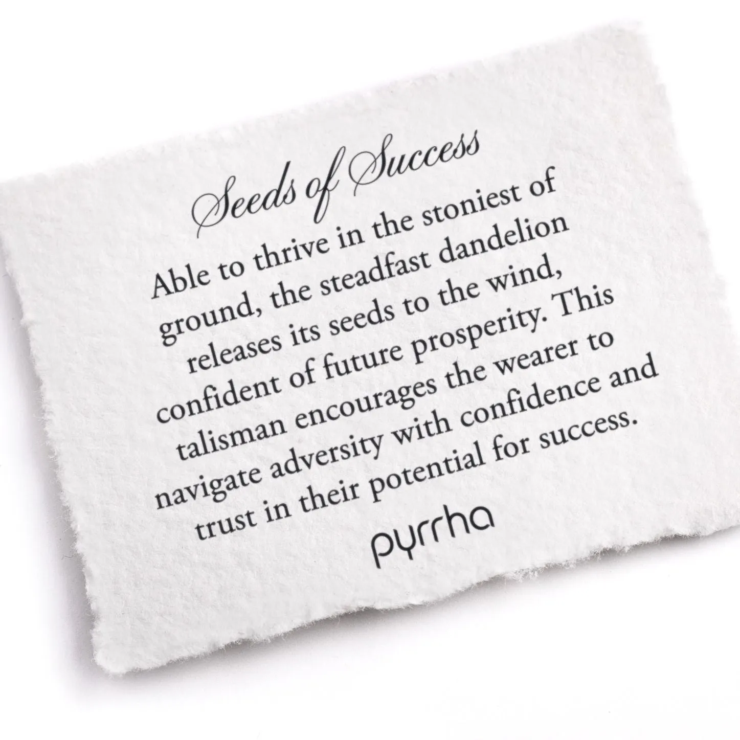 Seeds of Success 14K Gold Long Link Paperclip Chain Necklace - True Colors