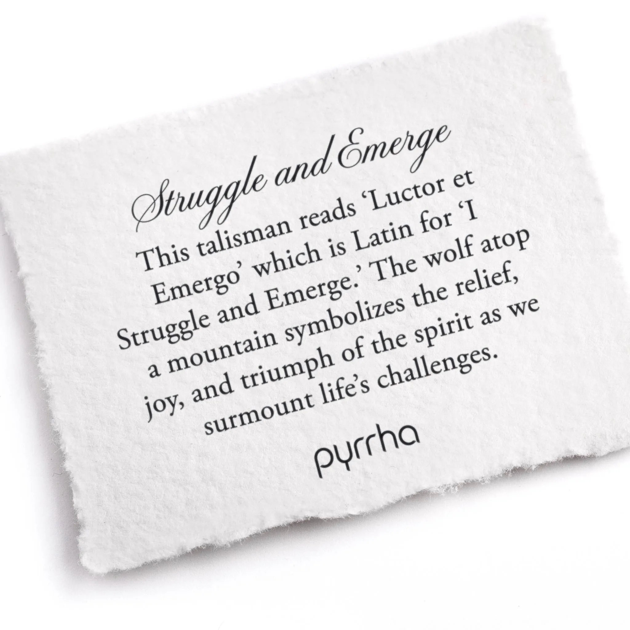 Struggle and Emerge Key Chain
