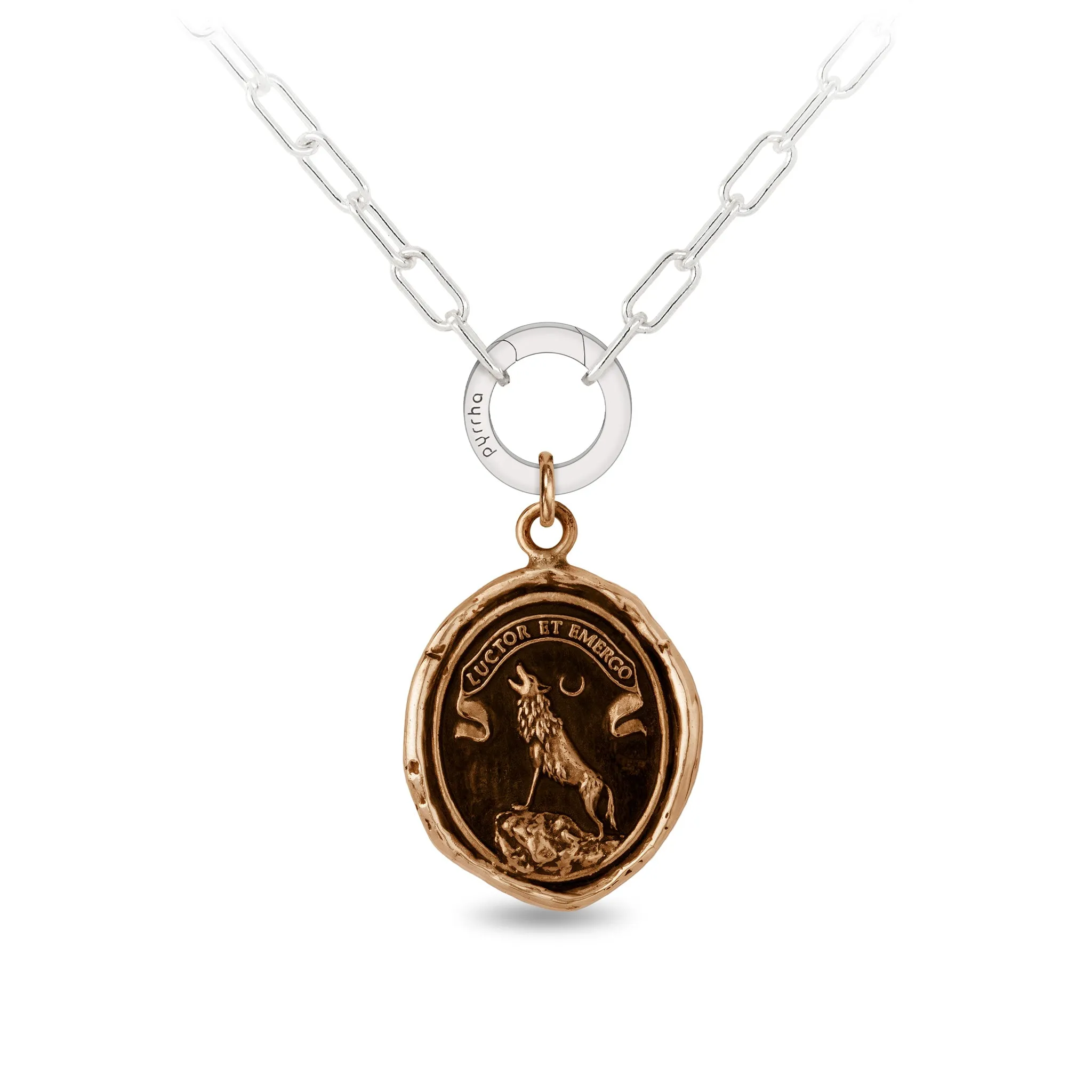 Struggle and Emerge Small Paperclip Chain Necklace