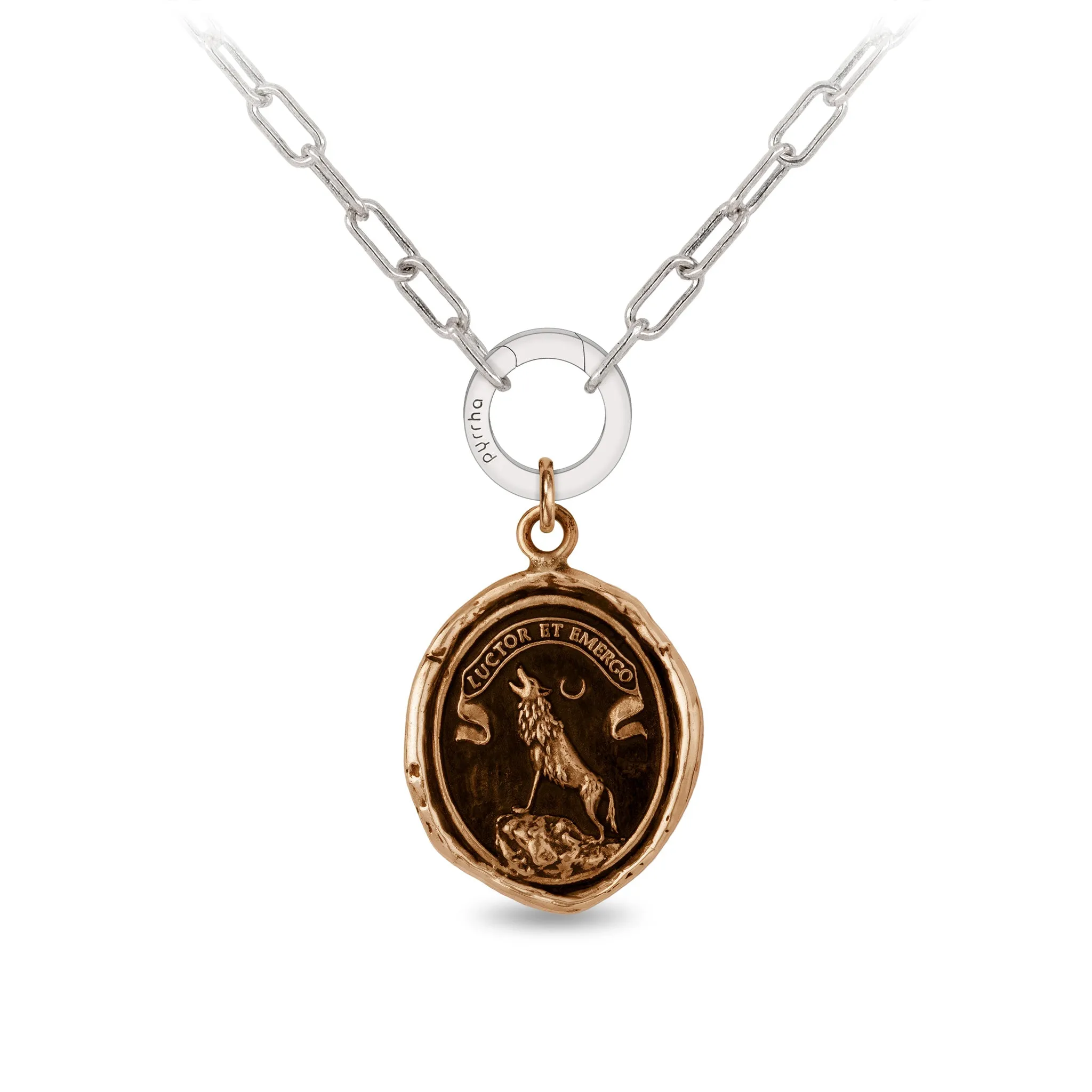 Struggle and Emerge Small Paperclip Chain Necklace