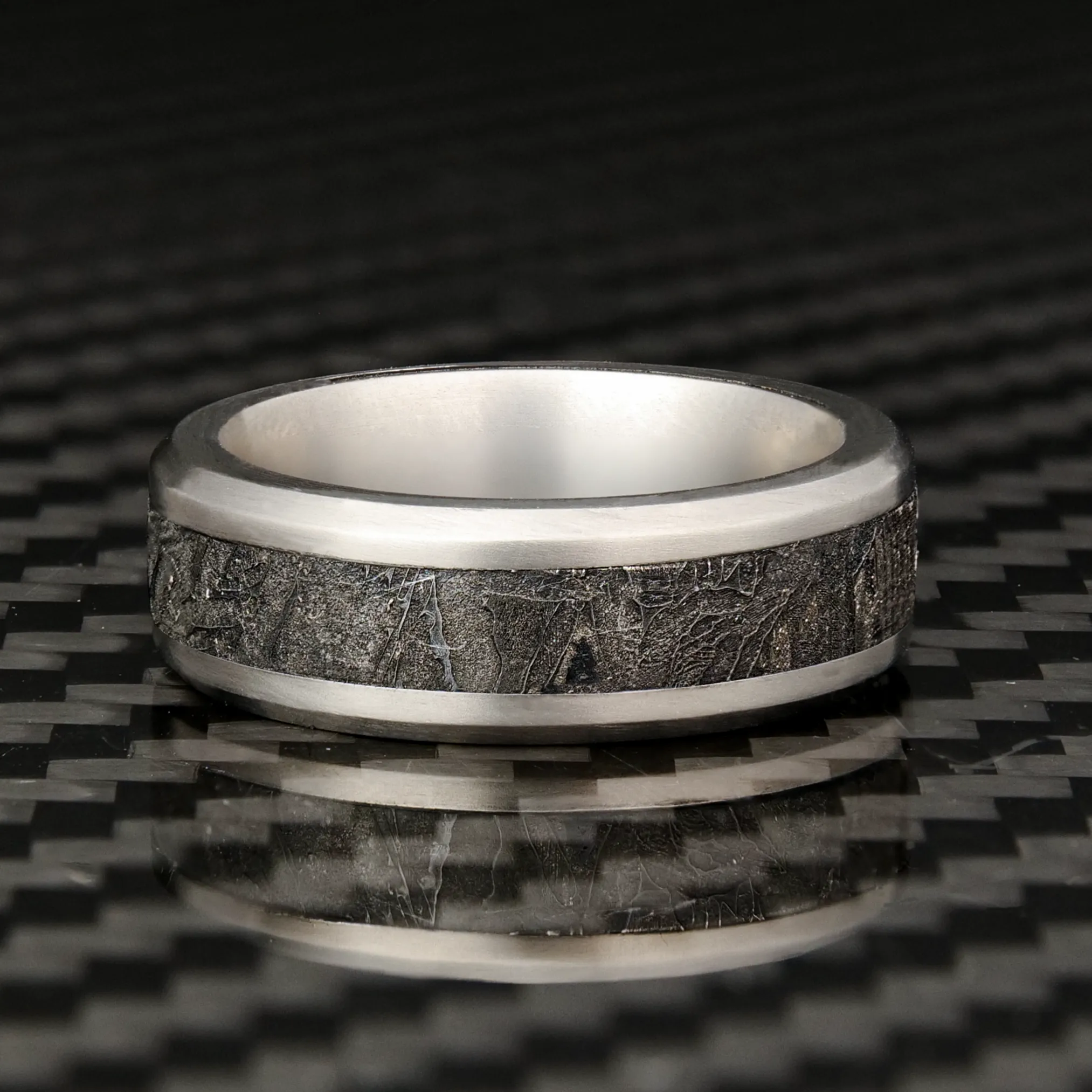 Titanium Ring With Meteorite Inlay