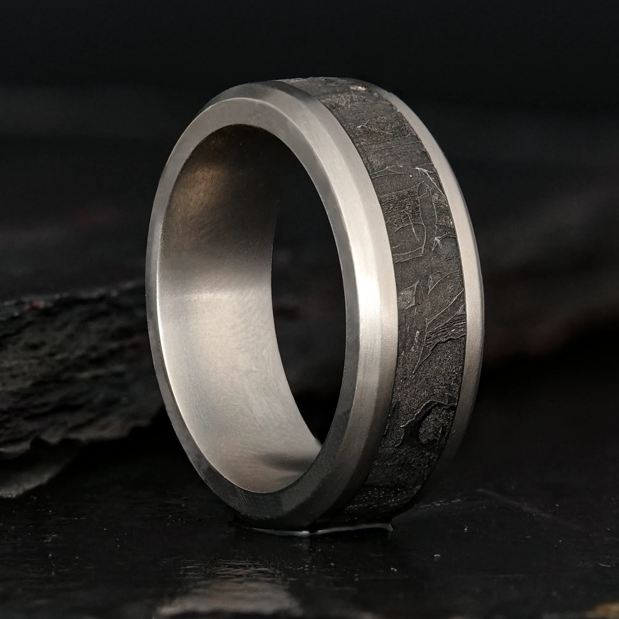 Titanium Ring With Meteorite Inlay
