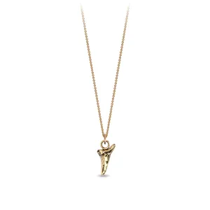 Tooth 14K Gold Symbol Charm